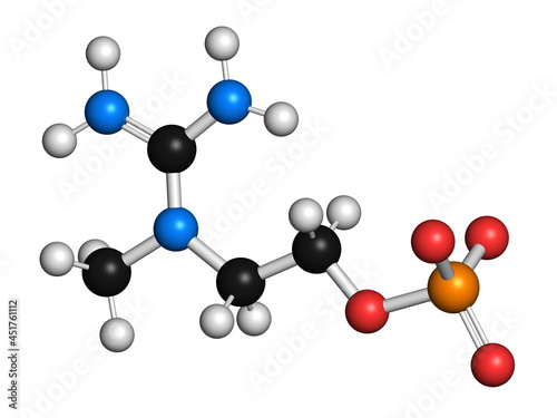 Creatinol-O-Phosphate molecule, illustration photo