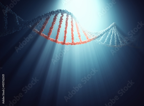 DNA molecule, illustration photo