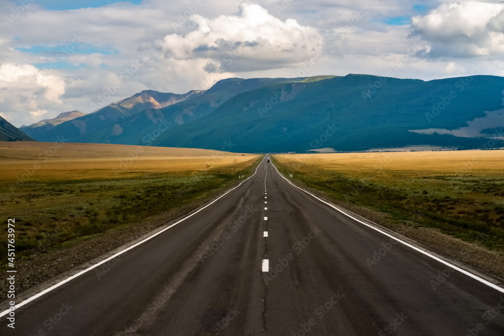 Naklejka premium Altay mountains and Kuray steppe