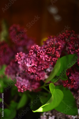 Flowers with bokeh and blur effect