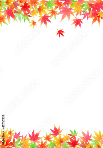 秋、色とりどりのもみじ 縦フレーム