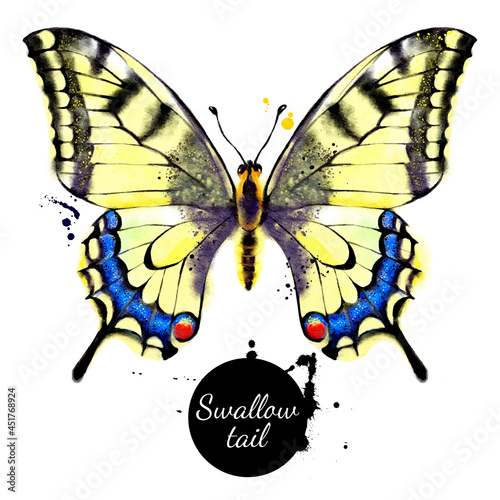 Watercolor illustration of butterfly Papilio machaon, Swallowtail. Vector painted isolated tropical wild nature insect on white background