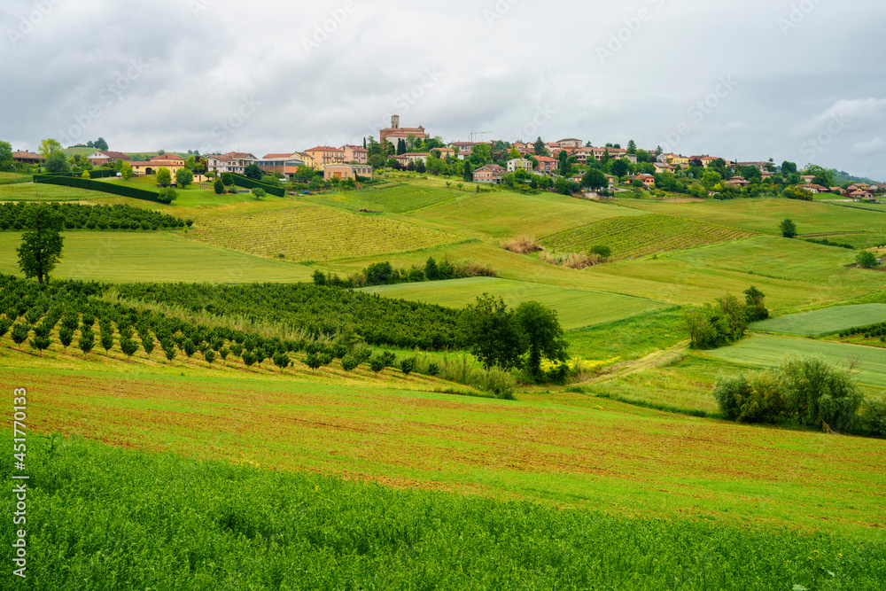 Vineyards of Monferrato near Cuccaro at springtime