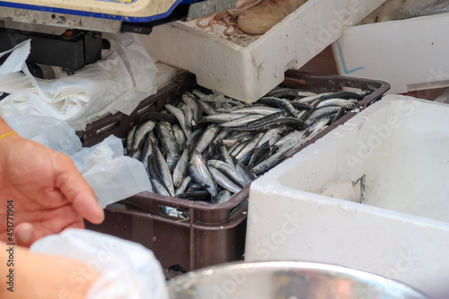 fisherman selling fresh sardinas out of his car