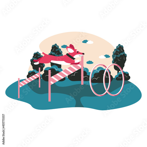 Different situations in the life of pets scene concept. Dog jumping over obstacles or hoop. Puppy outdoor training, pet care, people activities. Vector illustration of characters in flat design