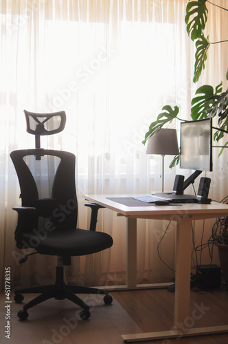 Orthopaedic chair for work at home. Minimalism home office interior with plants