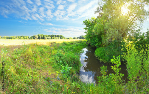 Small river on a green meadow on sunny day