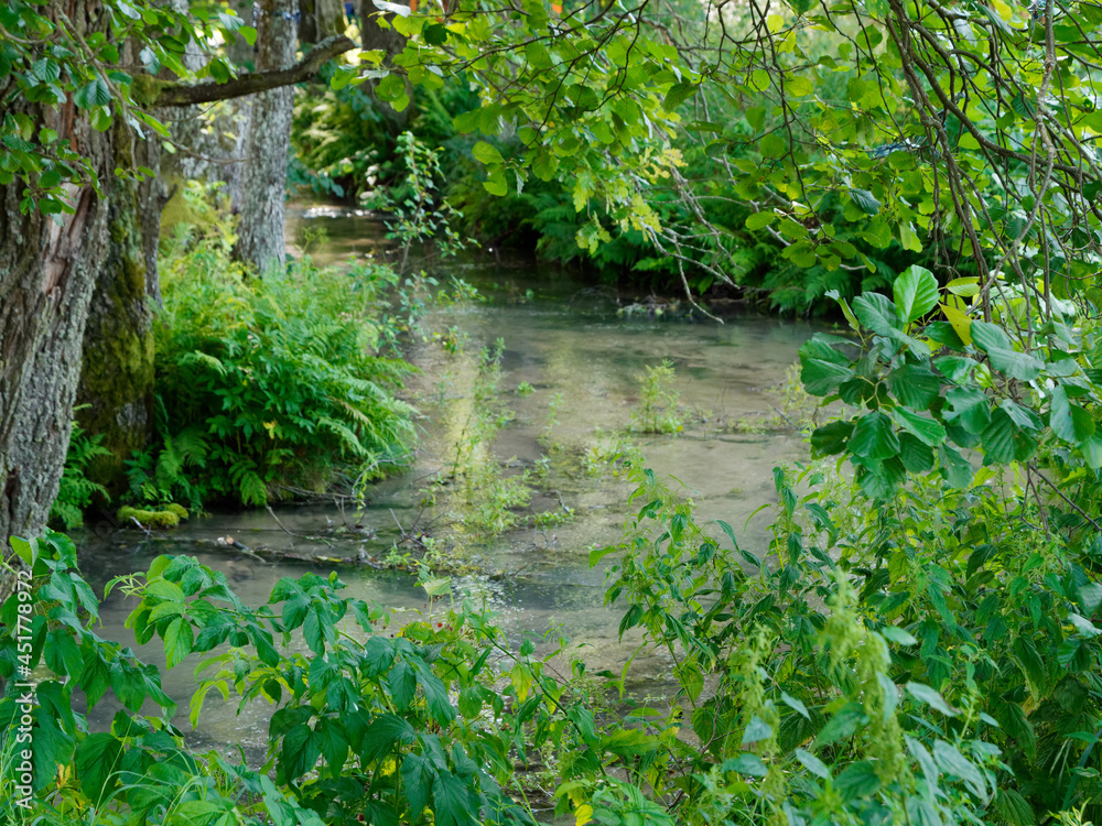 blue turquoise water of the holy source trees on the shore. SLAVGOROD, BELARUS blue turquoise water of the holy source trees on the shore. SLAVGOROD, BELARUS