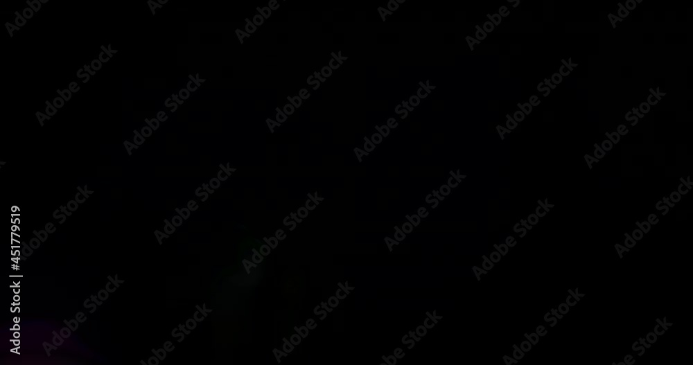 Beautiful, stunning light reflections and anamorphic blue streaks shot on black with high-end cinema anamorphic lens as a background, light leak overlays or transitions for editors