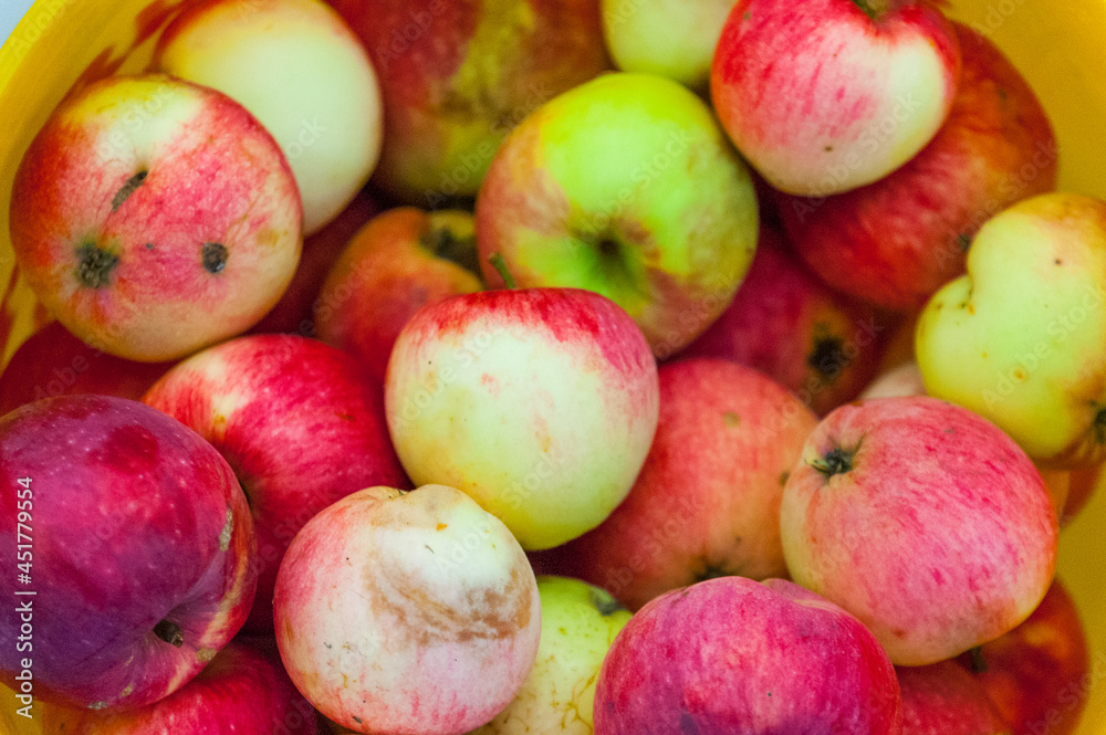 Apples for the apple spas holiday Apples for the apple spas holiday