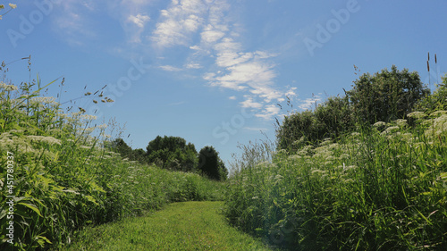 Countryside living