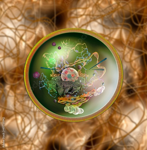 Human cell, illustration photo