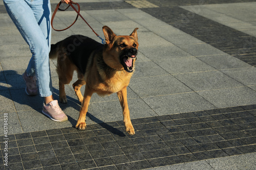 Woman with her aggressive dog walking outdoors, closeup