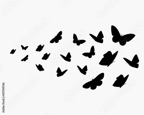 Abstract vector background with flying butterflies silhouettes. A flock of black butterflies isolated on white backdrop.
