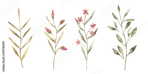 set of branches with  pink flowers and green leaves   botanical illustration