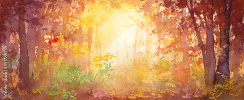 秋の森の中の風景。木漏れ日の水彩イラスト。バナー背景。