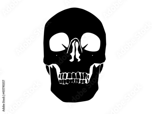 Anatomical Human Skull HD Vector Art