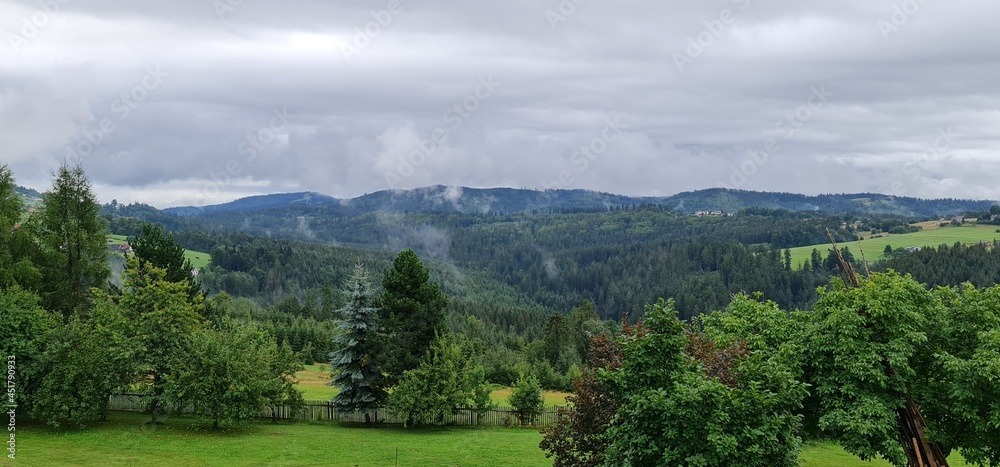 landscape with trees landscape with trees