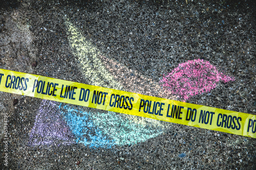 lgbt symbol peace dove on the street, painted with colorful chalk photo