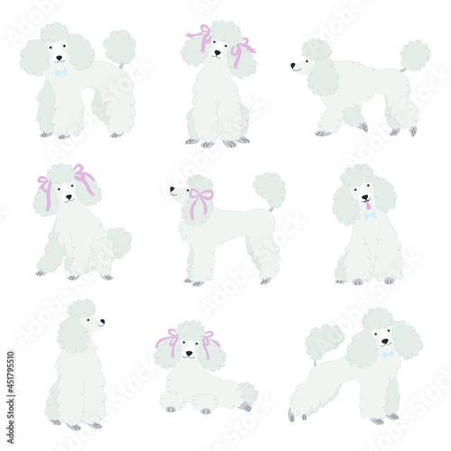 Vector set with cute poodles.