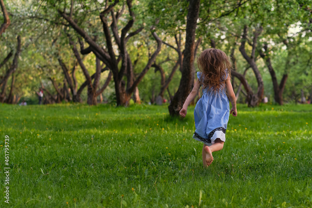 view from the back of a girl in a blue dress runs barefoot in the park or in the forest. the concept of a careless life. hair flies in the wind view from the back of a girl in a blue dress runs barefoot in the park or in the forest. the concept of a careless life. hair flies in the wind