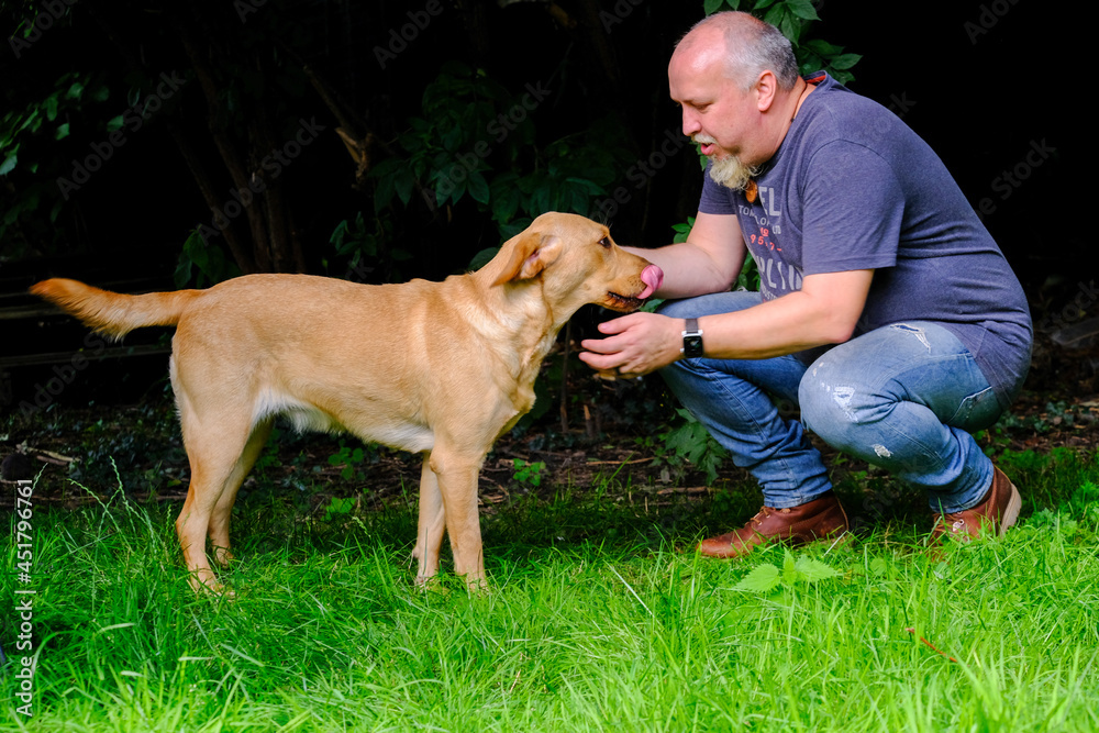 Handsome Man Plays with his Happy Golden labrador Retriever Dog on the Backyard Lawn. Man Has Fun with Loyal Pedigree Dog Outdoors in Summer House Backyard. High quality photo