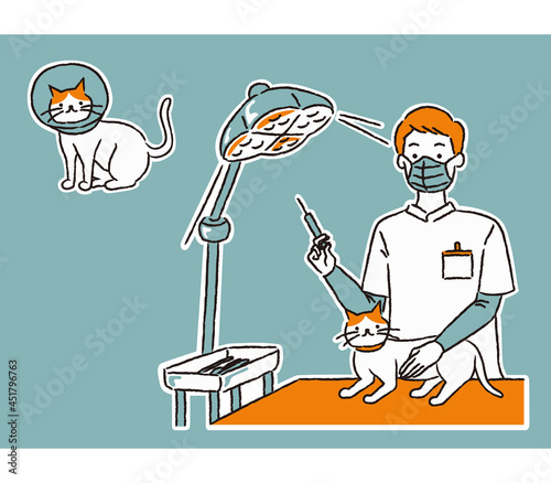 猫を治療する獣医さん（シンプル）