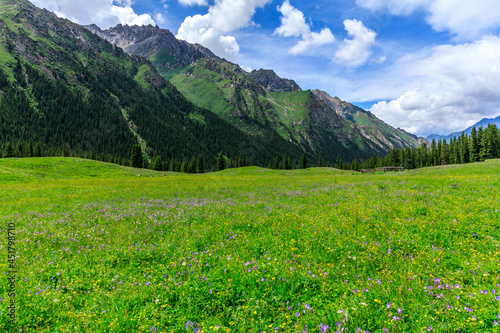 Mountain and grassland scenery in Xiata Scenic Area,Xinjiang,China.
