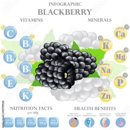 Health benefits and nutrition facts of blackberry infographic vector illustration.