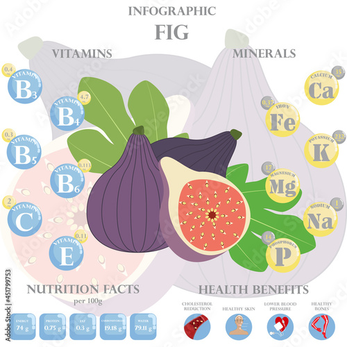 Health benefits and nutrition facts of fig infographic vector illustration.