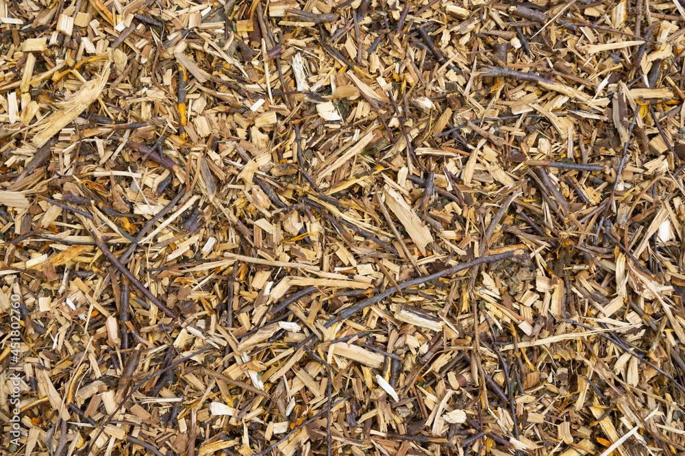 Background texture sawdust and woodworking waste Background texture sawdust and woodworking waste