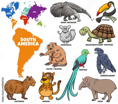 educational illustration of cartoon South American animals set