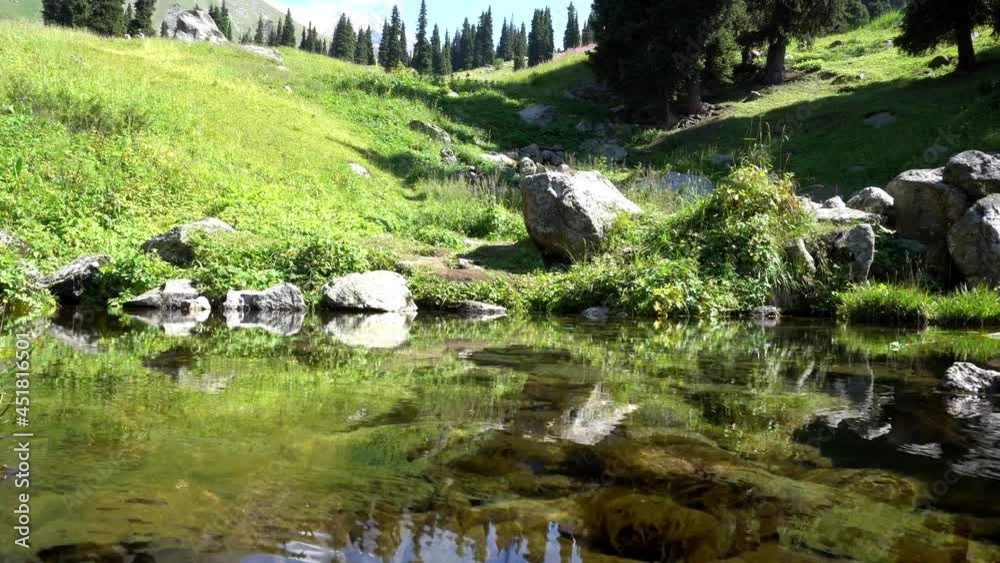 Mountain clear water of the stream and green fields. There are large stones on the shore. Grass is growing. Tall coniferous trees in forest. Tourists are walking in distance and flowers are growing Mountain clear water of the stream and green fields. There are large stones on the shore. Grass is growing. Tall coniferous trees in forest. Tourists are walking in distance and flowers are growing