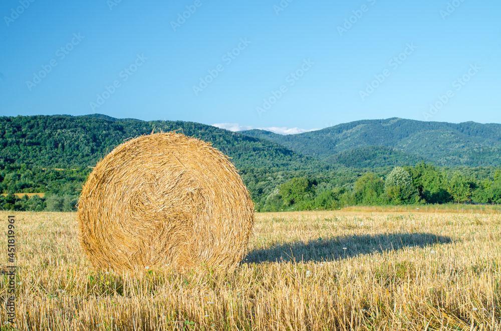 Harvesting hay from a farm. Bale of straw in the field. Outdoor. Food for animals. Close up of a large round roll of hay. Harvesting hay from a farm. Bale of straw in the field. Outdoor. Food for animals. Close up of a large round roll of hay.