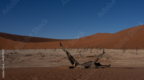 Dead trees and branches against the backdrop of a red desert dune at Deadvlei pan, located in Sossusvlei National Park, a popular tourist destination in Namibia