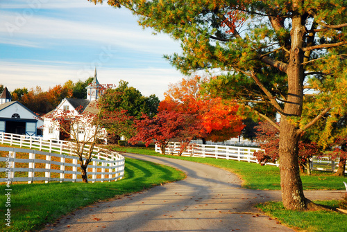 A country lanes winds through beautiful autumn foliage 