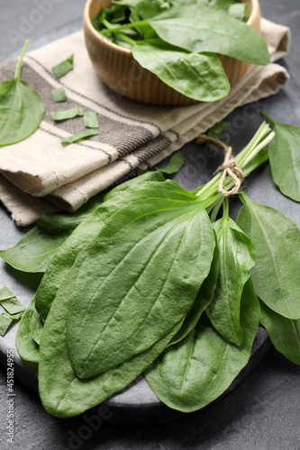 Broadleaf plantain leaves on black slate table