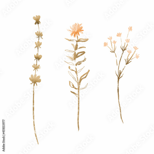 Set of dried flowers illustration. Suitable for printing, web, textile design, souvenirs, scrapbooking.