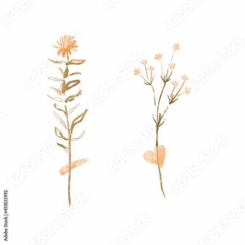 Image of dried flowers. Suitable for printing, web, textile design, souvenirs, scrapbooking. © Irina