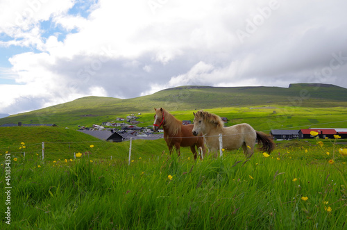 Panoramablick grüne Wiese Bucht auf Färöer Insel Varga mit Felsen Bergen skyline Stadt im Hintergrund - Cliffs and green Grass hills on Faroe Island Varga with rocks and panoramic landscape views	 photo