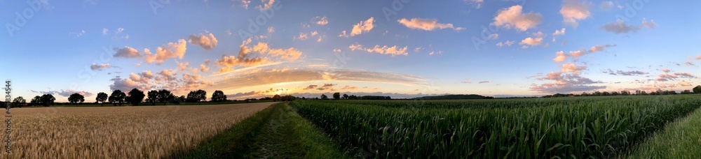 Obraz premium sunset over field