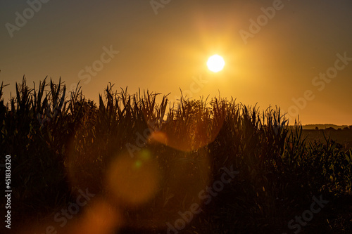 Coucher de soleil