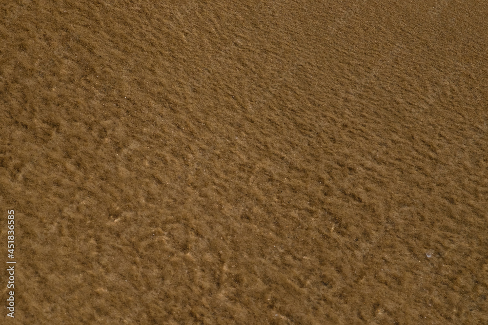 Sand texture background under water. Sea bottom texture, yellow sand waves in shallow water. Selective focus Sand texture background under water. Sea bottom texture, yellow sand waves in shallow water. Selective focus