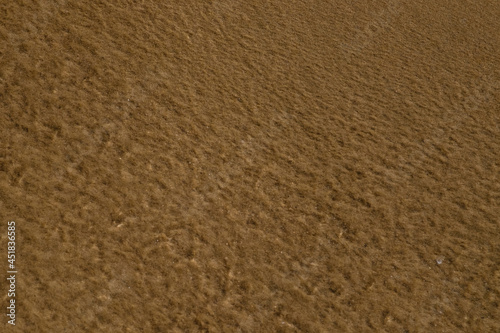 Wallpaper Mural Sand texture background under water. Sea bottom texture, yellow sand waves in shallow water. Selective focus Torontodigital.ca