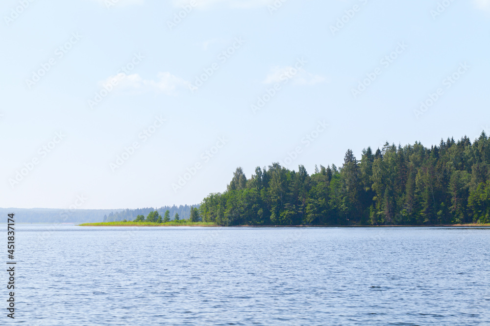 Landscape with forest at an empty lake coast