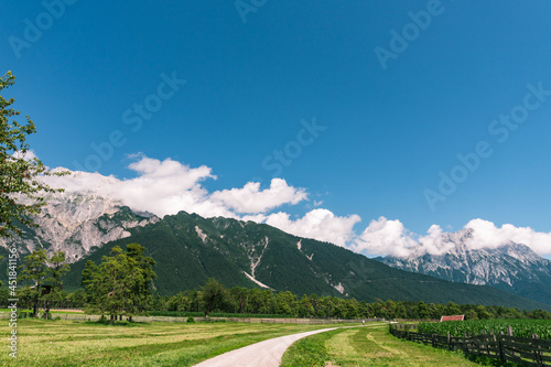 a path going through a meadow with mountains in a background