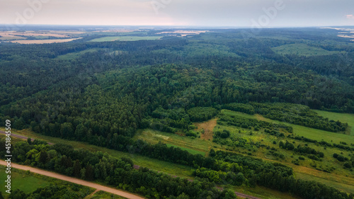 Aerial photograph vibrant green tree canopy natural forest background. View of pine forest from above. Nature concept.