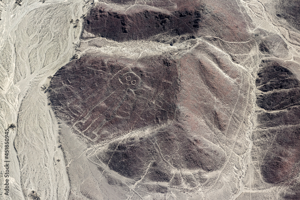 Peru, Palpa Province. The Nazca Lines (UNESCO World Heritage Sites) at Nazca Desert. The Giant