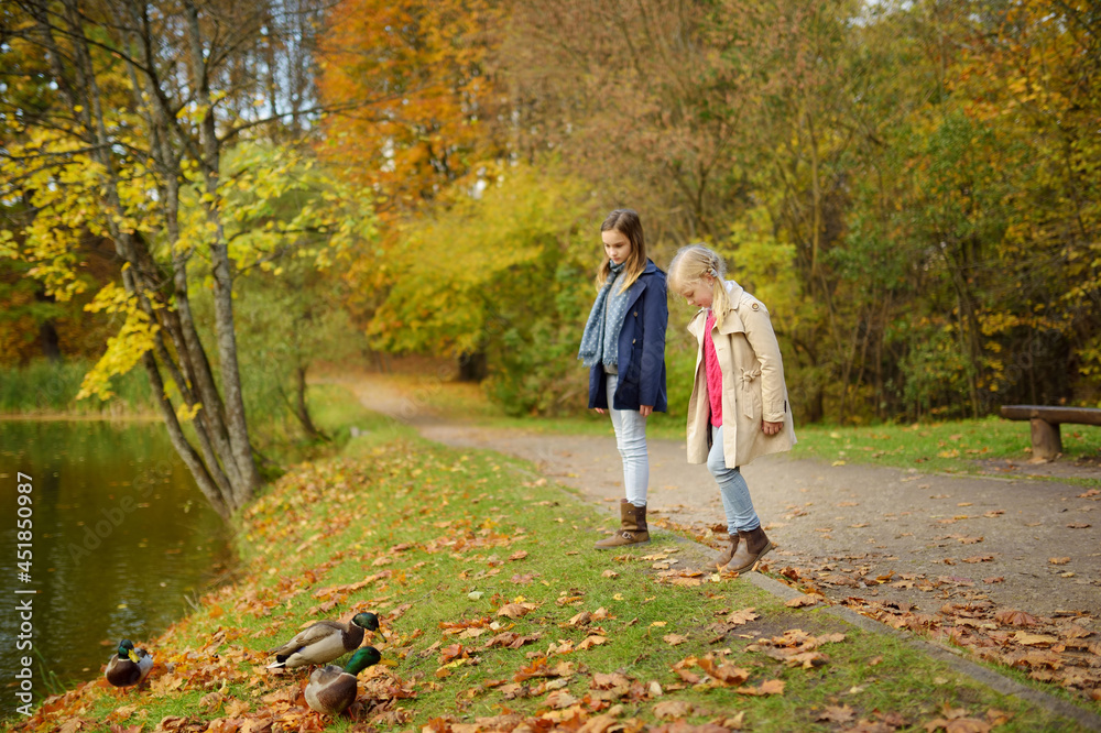 Fototapeta premium Two cute young sisters having fun on beautiful autumn day. Happy children playing in autumn park. Kids gathering yellow fall foliage.