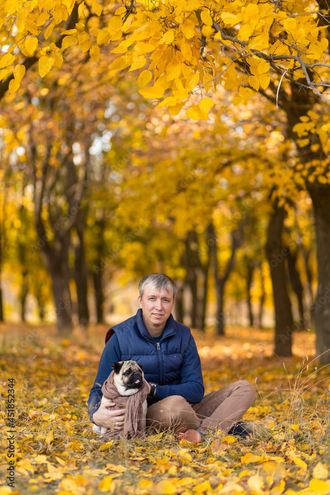 A man with his beloved pug dog on a walk in the autumn in the park A man with his beloved pug dog on a walk in the autumn in the park